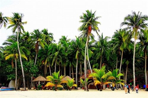 杨记跷脚牛肉面