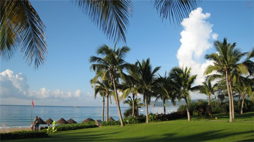 鸣洞鸡排
