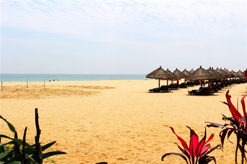 海南创业开咖啡店怎么样