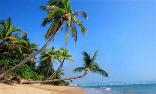 英吉沙县开店创业美妆蛋加盟哪家好，英吉沙奶茶店