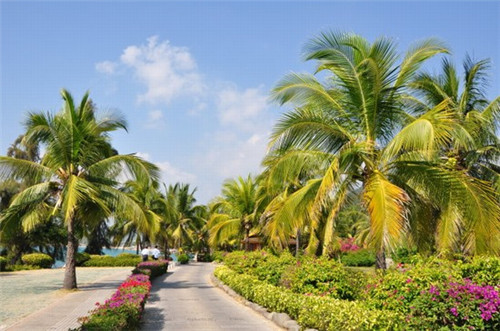 双头筒灯加盟创业选择哪家品牌受欢迎，双头筒灯的开孔尺寸图片