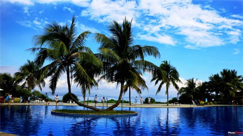 韩国雪冰2025可以加盟吗