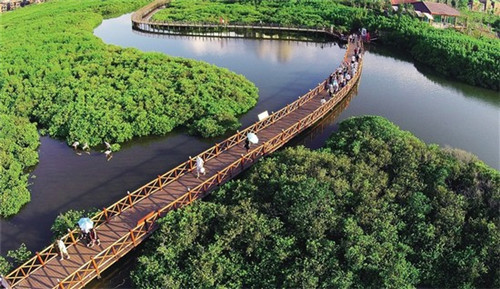 花旗银行十大品牌是什么（花旗银行在银行业的排名）