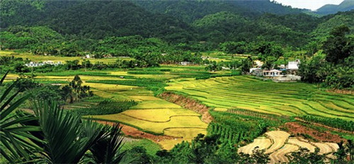 国防科工局舒绍福（国防科工局处长调整）