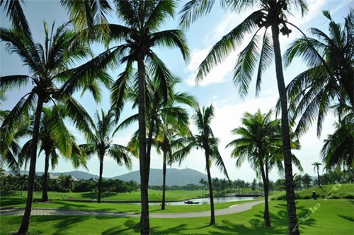 上海小区物业怎样（上海小区物业归谁管）