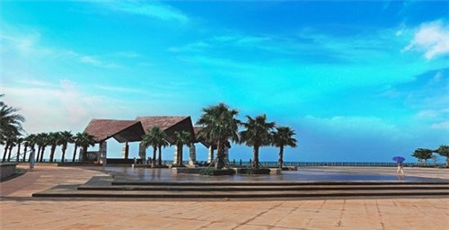 干洋姜炒毛豆的做法（洋火姜炒毛豆）