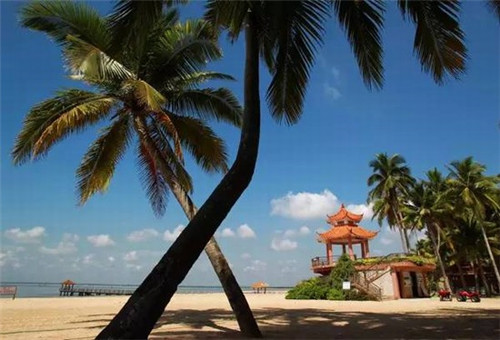 邢禄康艺考状元（邢禄康艺考状元是谁）