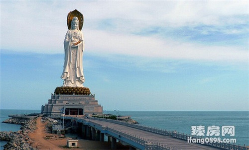 混合生物的小游戏叫什么（混合生物酚是什么）